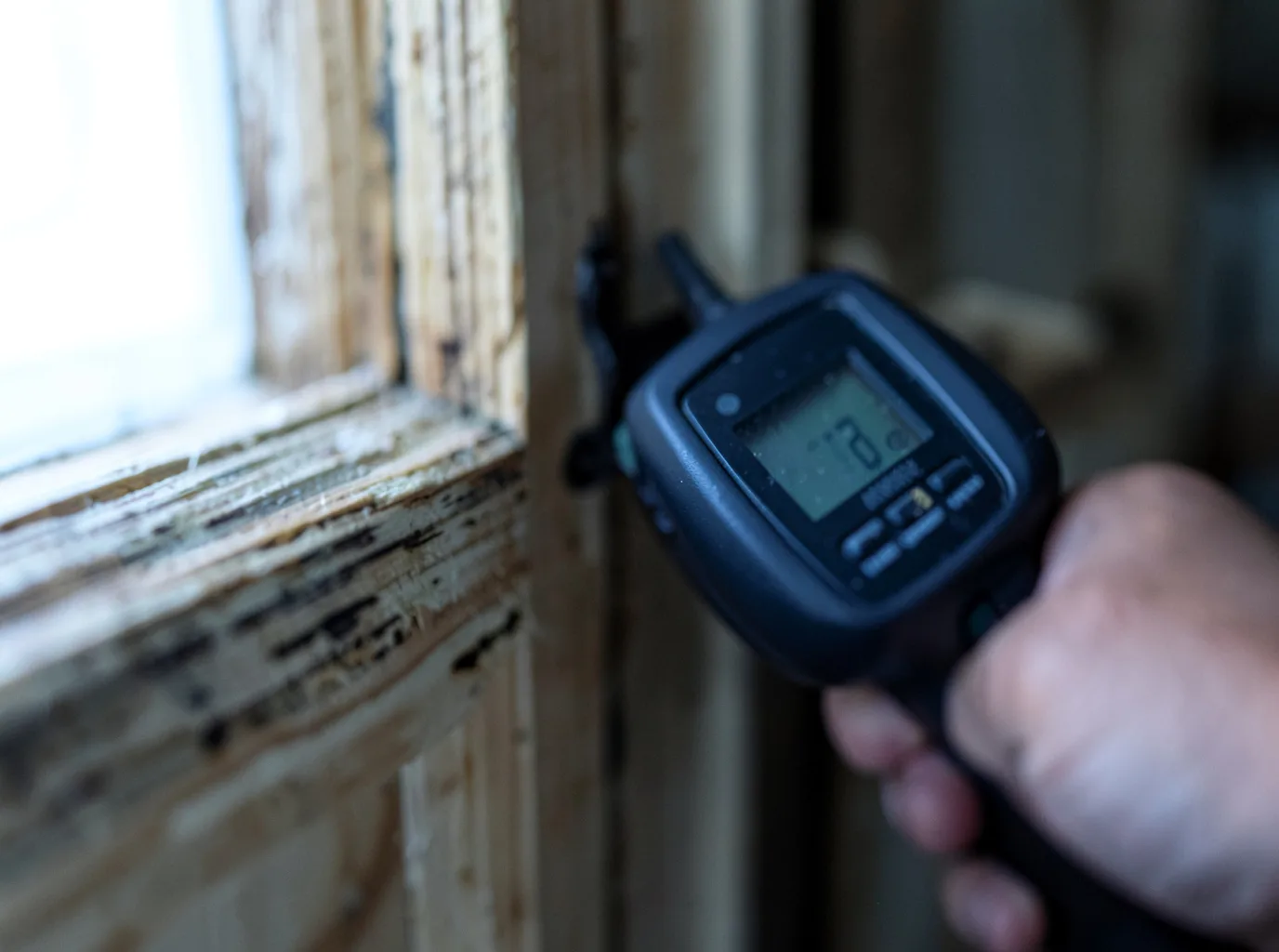 Moisture Inspection And Documentation in Muskegon, MI
